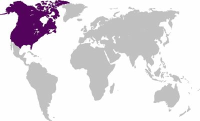 North America